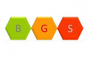 Tại sao nên chọn BGS