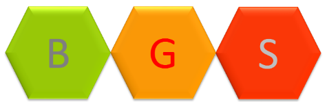 Công ty Tư Vấn Giải Pháp Kinh Doanh BGS (Biz Grow Solution)